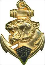 Quel est cet insigne ?