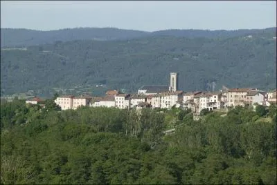 Si vous faites un séjour dans la Haute-Loire, vous n'aurez aucune chance de ramener une photo de :