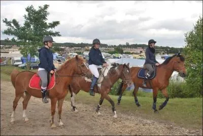 Quelle ville n'est pas située dans le Loiret ?