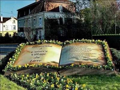 Dans l'Ain, vous ne trouverez pas :