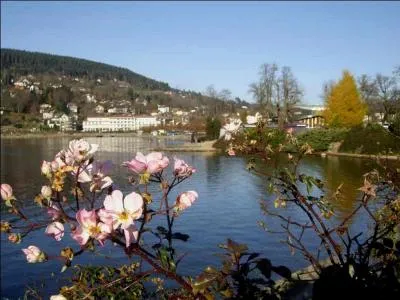 Dans le Haut-Rhin, impossible de ramener un souvenir de :