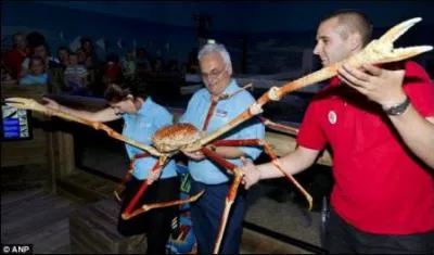 Devinez-moi le petit nom de cet arthropode, le plus grand terrestre d'ailleurs !