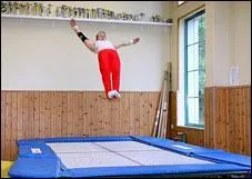 Comment s'appelle cet agrès ?