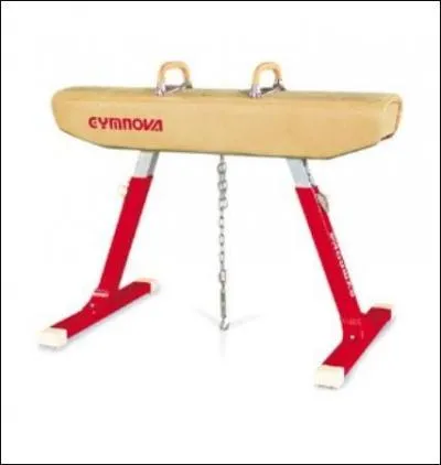 Comment s'appelle cet agrès ?