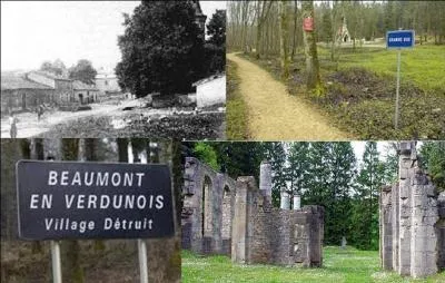 La commune de Beaumont partage avec 5 autres une particularité unique dans l'histoire des communes françaises. Cette particularité date de 100 ans, environ. Quelle est cette particularité ?