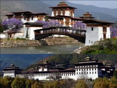 La télévision est arrivée dans tous les foyers du monde. Du mois, tous les foyers ont maintenant cette possibilité. Mais dans quel pays et en quelle année, la télévision est apparue en dernier ?