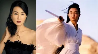 Maggie Cheung née en 1964 à Hong Kong, que nous avons pu voir aux côtés de Jackie Chan dans "Police Story" et "Police Story 2", est à l'affiche de ce film sorti en 2002. De quel film avec Jet Li est tirée cette image ?
