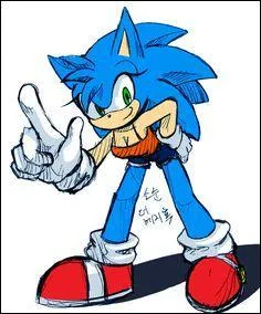 Qui est cette hérissonne bleue ?