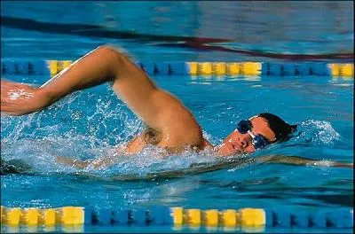 Quelle est la nage la plus rapide ?