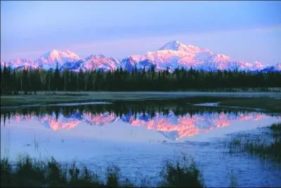 En quelle année, les américains achetèrent-ils l'Alaska ?