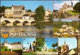 Nous commençons cette nouvelle promenade par une visite d'Amboise. Ville connue pour son château, elle se situe dans le département ...