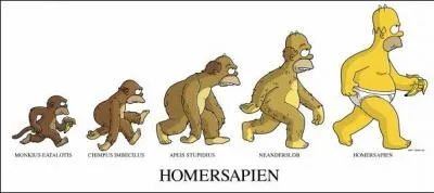 Comment appelle-t-on l'évolution d'Homer ?
