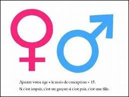 Annie a deux enfants, dont l'un est une fille. Combien y a t-il de chances que l'autre enfant soit un garçon ?