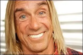 La chanson ''In the Deathcar'' du film ''Arizona Dream'' était interprétée par Iggy Pop. Pour quel site a-t-il fait de la pub en 2014 ?