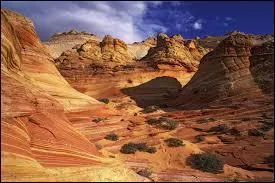 ''Maalox Texas Blues'' ... Qui a bien pu pondre un titre aussi étrange ?