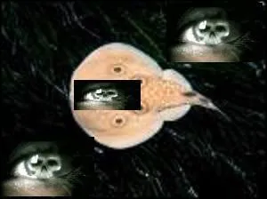 Enfin, j'espère que personne ne va passer l'arme à gauche à cause de cette mauvaise mixture qu'est ce sujet !