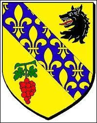 Voici le blason de la ville francilienne de Chanteloup-les-Vignes. Elle se situe dans le département ...