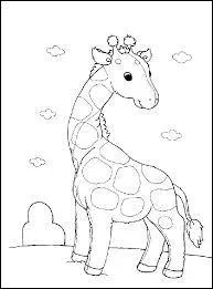 Un girafon à la naissance mesure :