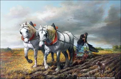 Octobre à moitié pluvieux rend ... joyeux !