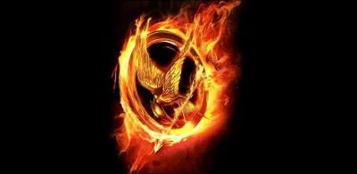 Qui gagnent les Hunger games ?