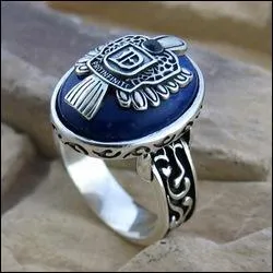 Dans quelle série retrouve-t-on cette bague ?