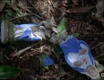 Dans quelle série peut-on voir cette figurine de la Vierge Marie renfermant de la drogue ?