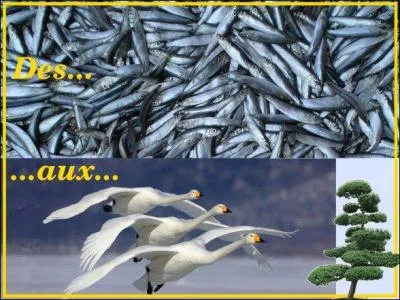 Une série très WASP, très chic et pour tout dire, américaine. Même le titre est resté en version originale (sauf au Québec) : lisez à haute voix !