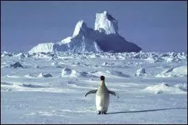 Dans quel hmisphre se situe le continent antarctique ?
