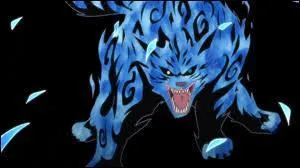 Combien de queues a Matatabi ?