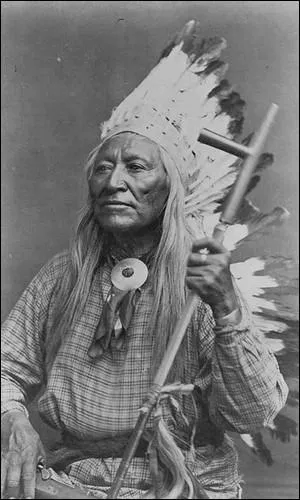 En 1851 à Fort Laramie, le gouvernement américain signa un traité avec plusieurs nations Amérindiennes. Qui était le chef des Shoshones qui signa ce traité  ?