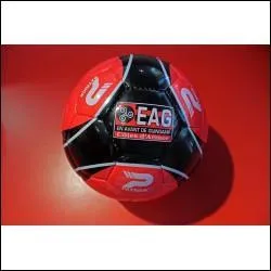 Qui n'a pas joué à Guingamp ?