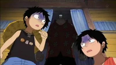 Dans "One Piece", comment se nomment le père et le grand-père de Luffy ?