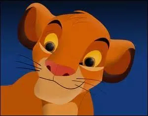 Comment s'appelle ce lion qui battut son oncle avec l'aide de Timon et Pumba ?