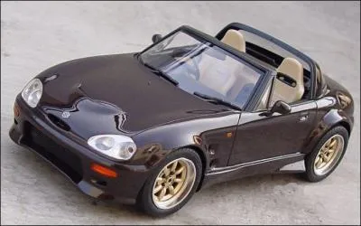 Sans être aussi peu ragoûtant que ce qui précède, cette décapotable a pourtant un nom assez... original, non ?