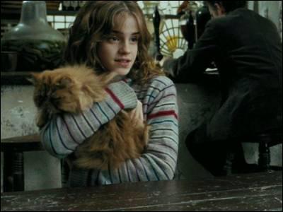 Quel est le nom du chat d'Hermione ?