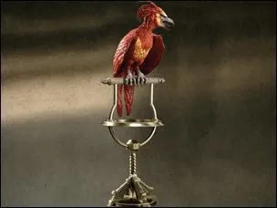 A qui appartient Fumseck, le ph&eacute;nix ?