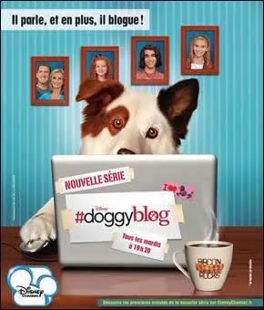 Qui est le ou la plus jeune dans Doggyblog ?