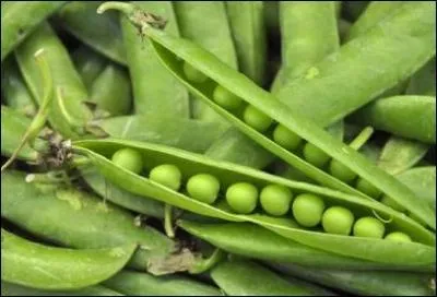 Est-ce un légume ou un fruit ? (Ce sont de petits pois)