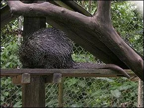 Quelle est ma famille ?