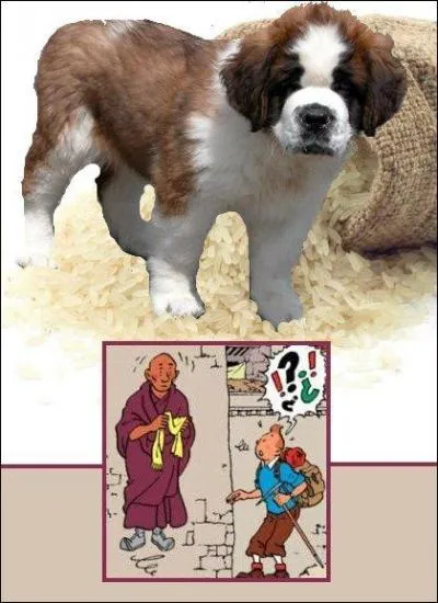 Puisque nous avons subodoré la grande messe cathodique, ce personnage n'est pas souvent au programme des écoles, mais plutôt ce soir, vers 22 h 30 ?