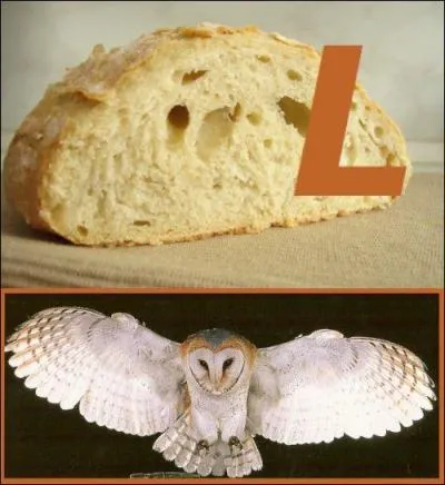 Terminons-en avec les philosophes de maintenant : pourquoi ne pas se faire une petite séance de philo le dimanche (sur France Culture) avec celui-ci ?