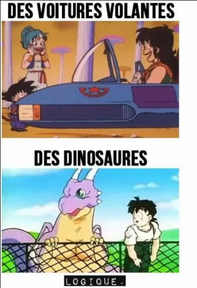 Suis-je sérieux si je vous dis qu'il existe une "communauté gokuiste", affirmant Goku du manga "Dragon Ball" comme le nouveau messie ?