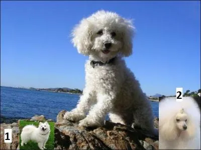 J'ai passé une formidable journée, et j'ai pu faire apprécier mon caractère malicieux, mais rigole pas ! C'est pas ma mère, ------- ! C'est la beauté ------.