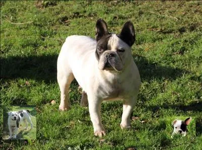 Ben, est-ce vrai que ma mère ne pose pas sur la photo ?