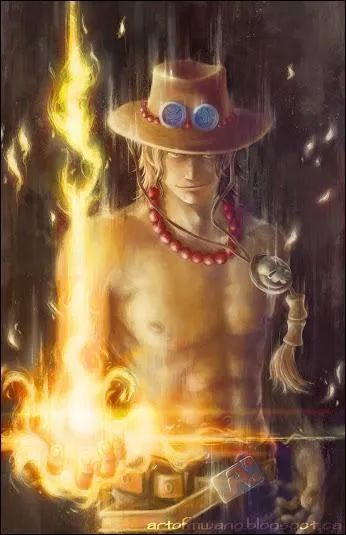 Ensuite, voici un homme qui, plus que de contrôler le feu, peut le devenir. J'ai nommé Porcas D. Ace. Il vient de :