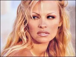 Dans quelle émission de télé-réalité ne voit-on pas Pamela Anderson ?
