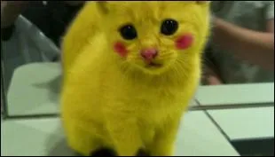 En quoi Pikachu s'est-il transformé ?