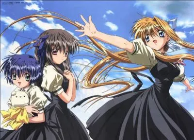 Comment appelle-t-on ce manga ?