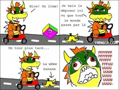 Qu'a fait Bowser ?