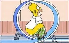 Vous pouvez retrouver cet homme dans les Simpson, comment se nomme le père, chauve et fainéant à mon goût ?